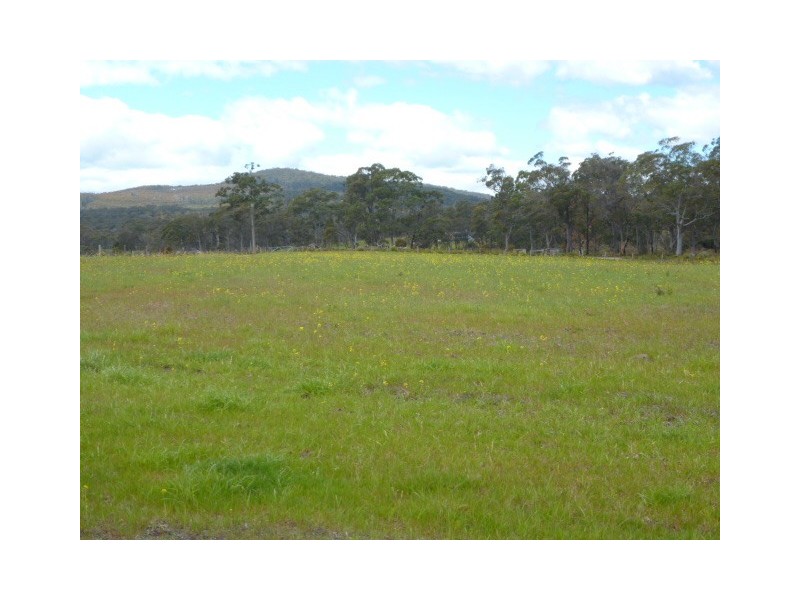 Old Waterhouse Road, Scottsdale TAS 7260