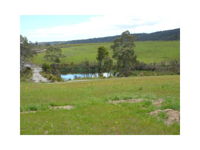 Old Waterhouse Road, Scottsdale TAS 7260