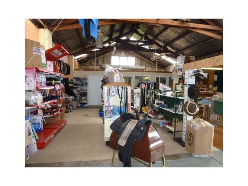 32 Ellenor Street, Scottsdale TAS 7260