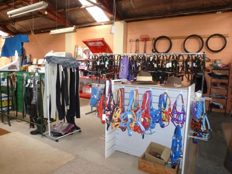 32 Ellenor Street, Scottsdale TAS 7260