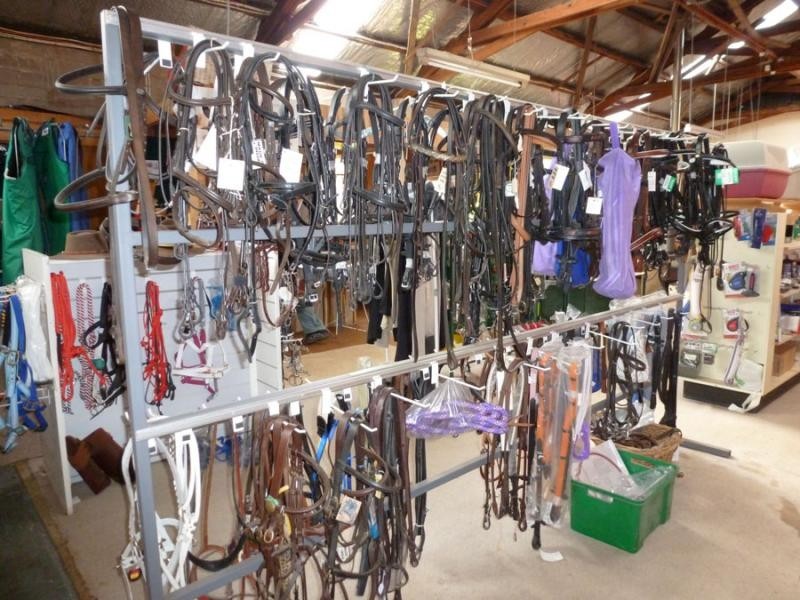 32 Ellenor Street, Scottsdale TAS 7260