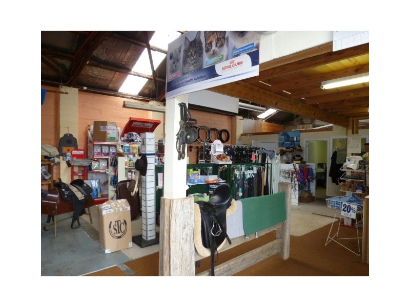 32 Ellenor Street, Scottsdale TAS 7260