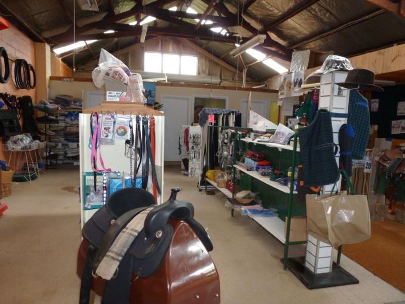 32 Ellenor Street, Scottsdale TAS 7260