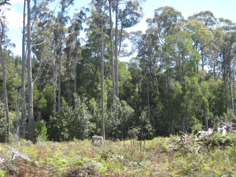 Barnbougle Road, Scottsdale TAS 7260