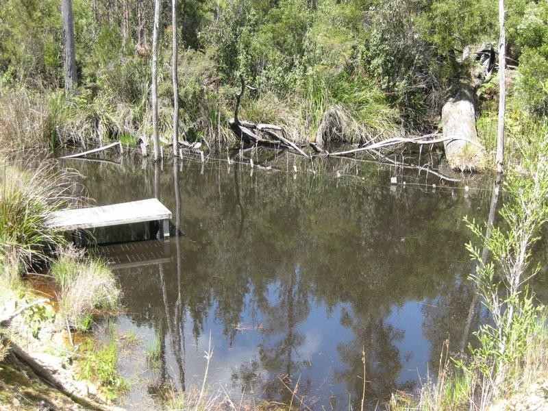 Barnbougle Road, Scottsdale TAS 7260