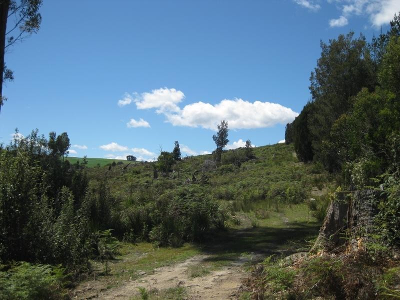 Barnbougle Road, Scottsdale TAS 7260