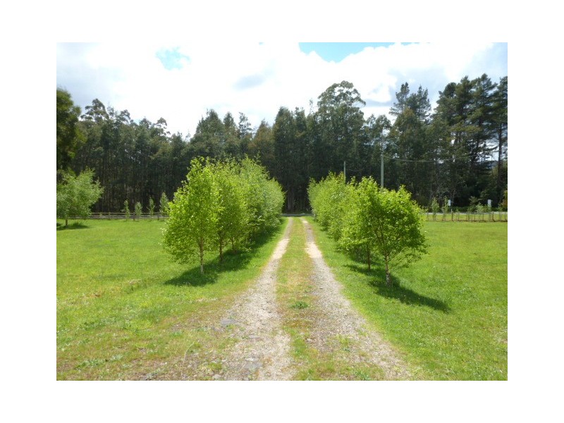 29689 Tasman Highway, Weldborough TAS 7264