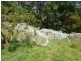 29771 Tasman Highway, Weldborough TAS 7264
