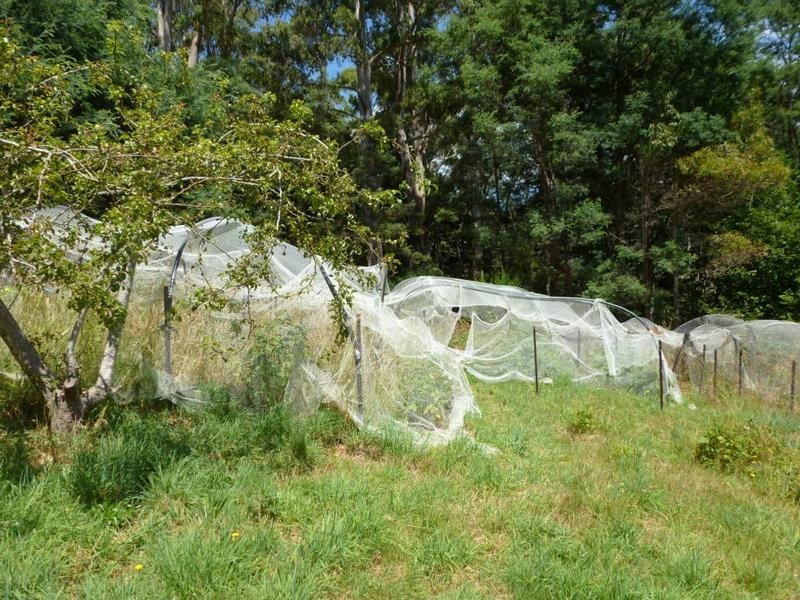 Tasman Highway, Weldborough TAS 7264