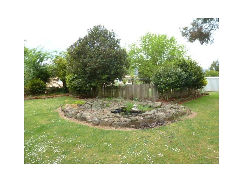 378 East Maurice Road, Ringarooma TAS 7263