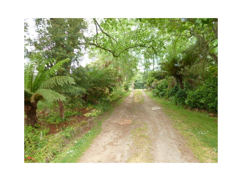 378 East Maurice Road, Ringarooma TAS 7263