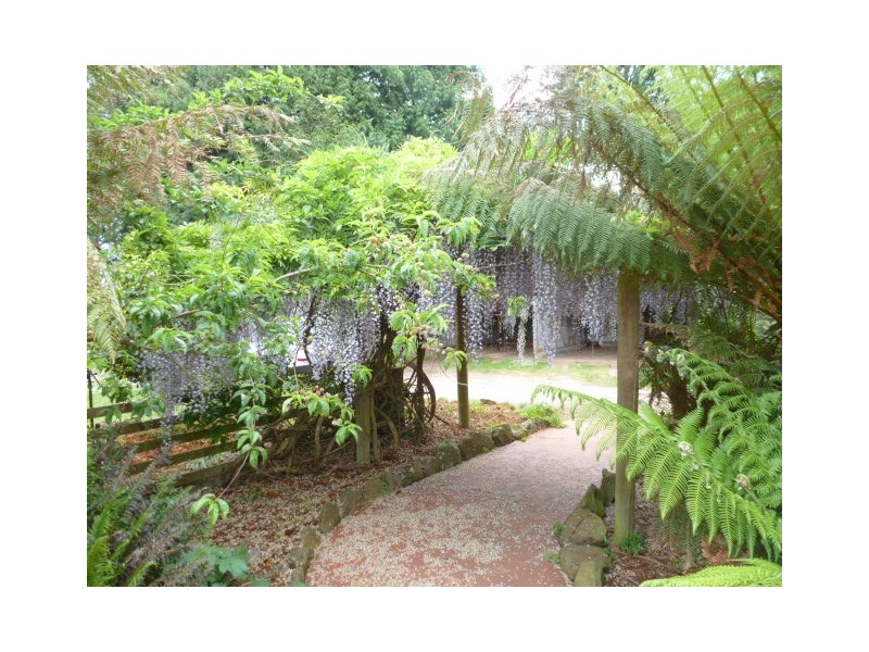East Maurice Road, Ringarooma TAS 7263