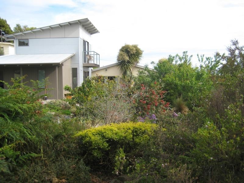 17 William Street, Bridport TAS 7262