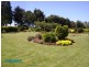131 Racecourse Road, Winnaleah TAS 7265