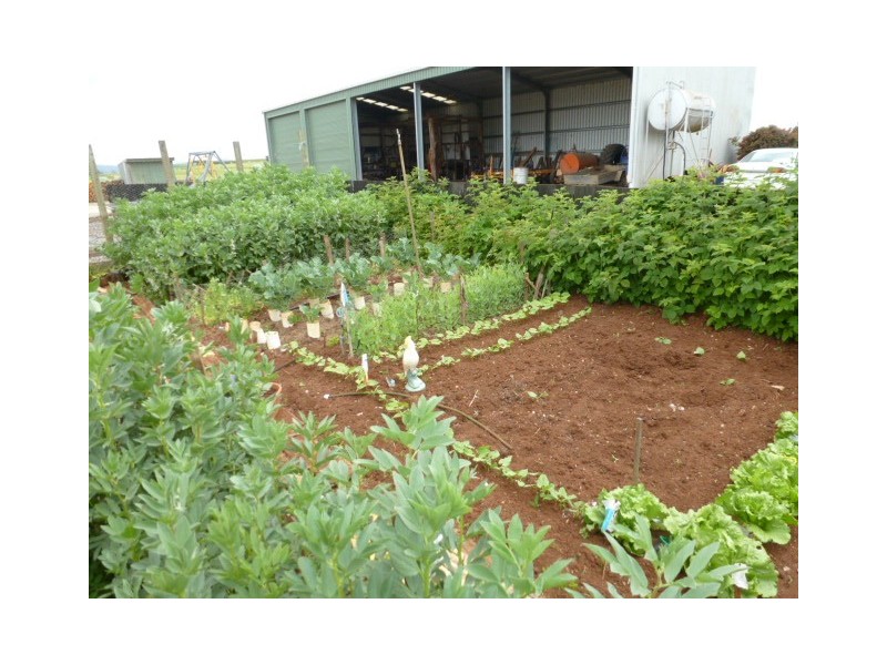 131 Racecourse Road, Winnaleah TAS 7265