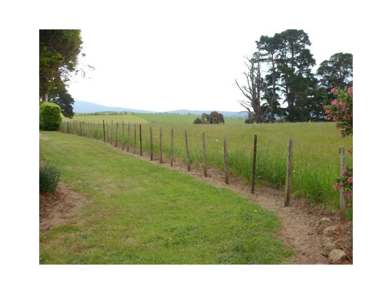 131 Racecourse Road, Winnaleah TAS 7265