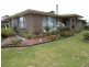 131 Racecourse Road, Winnaleah TAS 7265
