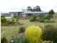 131 Racecourse Road, Winnaleah TAS 7265