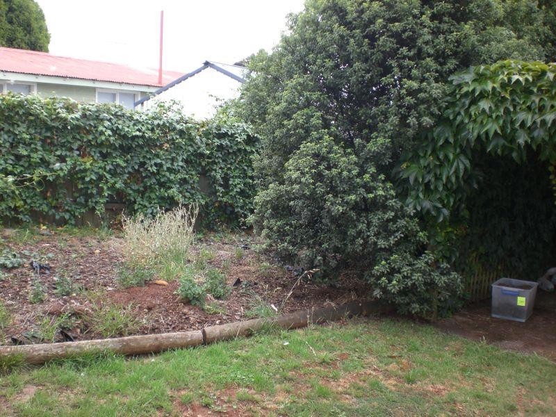 6 Salier Place, Scottsdale TAS 7260