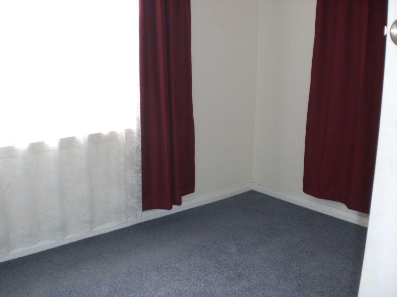 6 Salier Place, Scottsdale TAS 7260