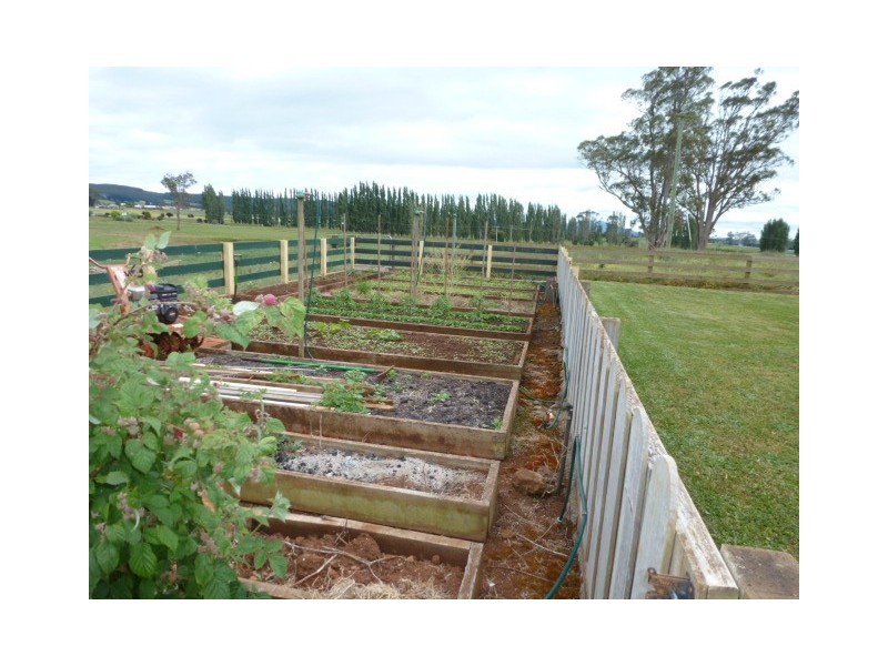 Ringarooma Road, Legerwood TAS 7263