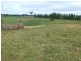 Ringarooma Road, Legerwood TAS 7263