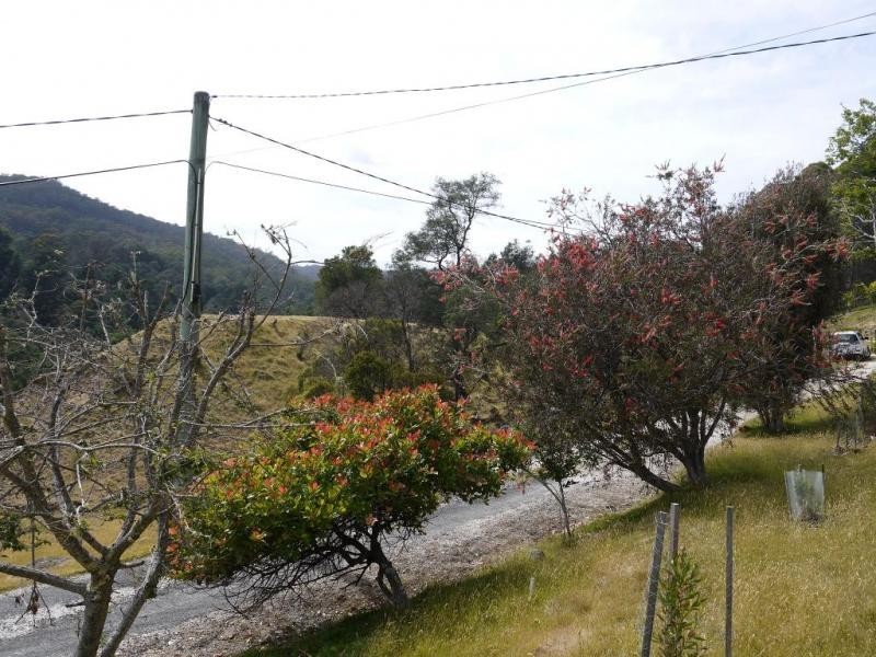 8 Lower Cascade Road, Derby TAS 7264