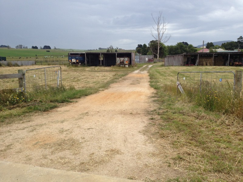 25 Winnaleah Road, Winnaleah TAS 7265