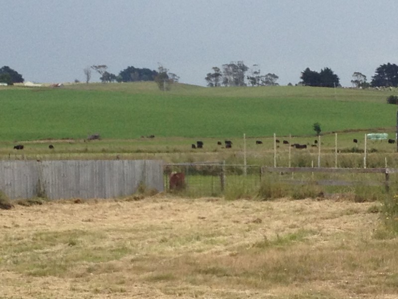 25 Winnaleah Road, Winnaleah TAS 7265