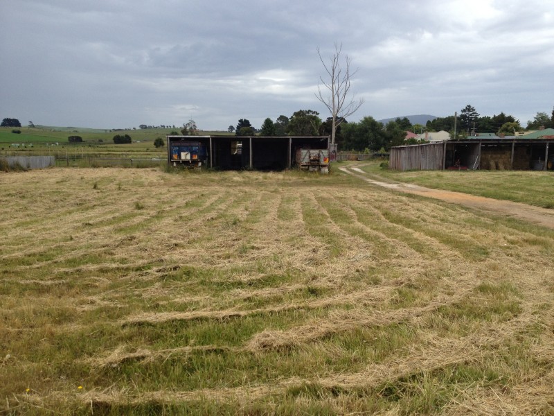 25 Winnaleah Road, Winnaleah TAS 7265