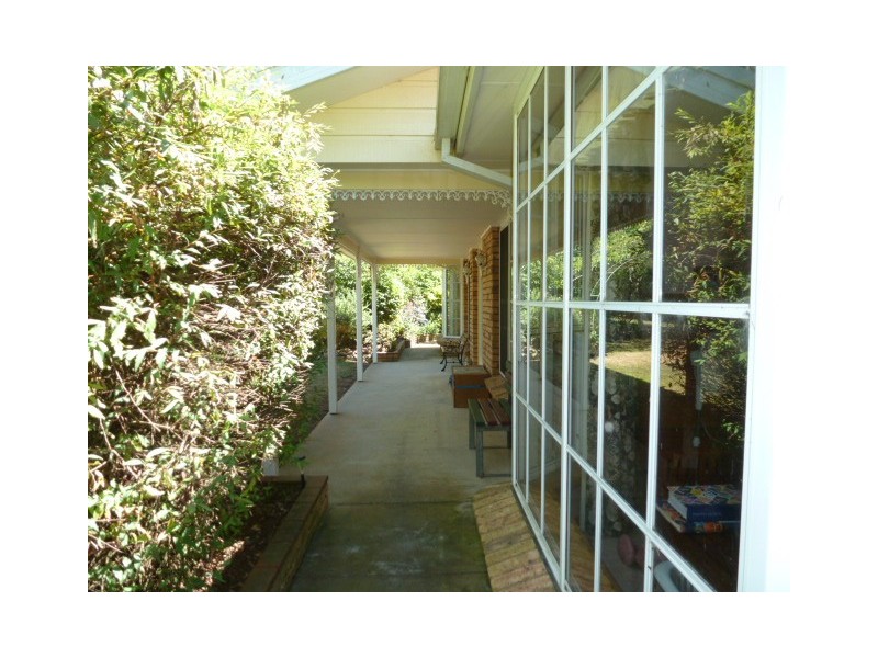 1038 Jensens Road, Scottsdale TAS 7260