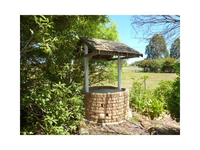 1038 Jensens Road, Scottsdale TAS 7260