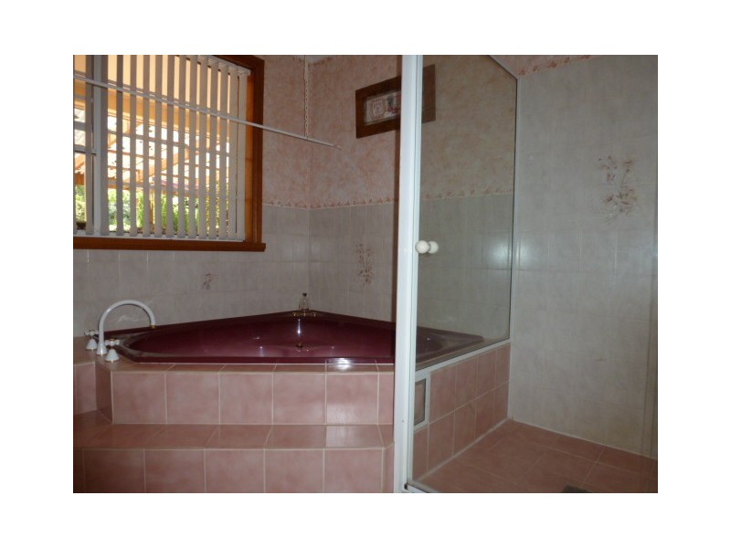 1038 Jensens Road, Scottsdale TAS 7260