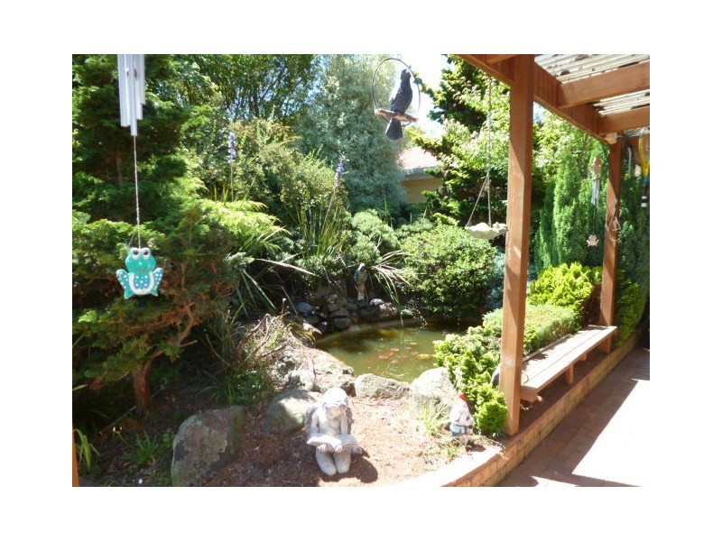 1038 Jensens Road, Scottsdale TAS 7260