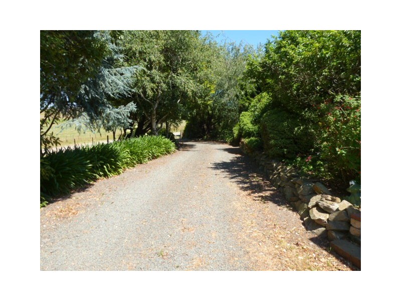 1038 Jensens Road, Scottsdale TAS 7260