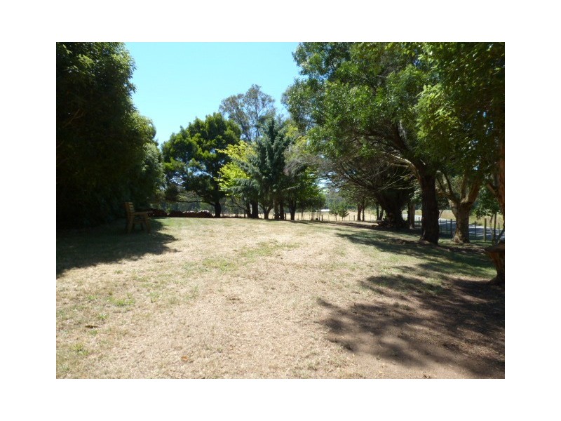 1038 Jensens Road, Scottsdale TAS 7260