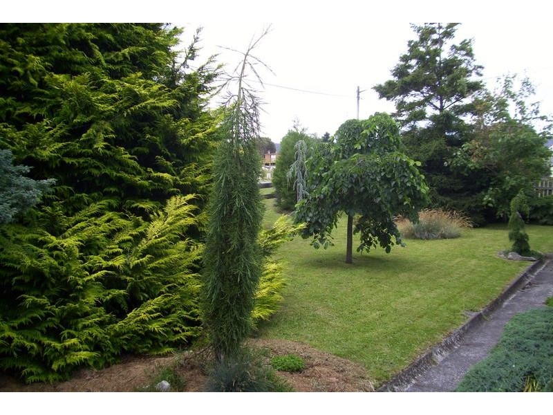 5 Carr Street, Gladstone TAS 7264