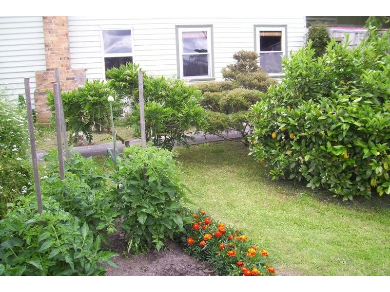 5 Carr Street, Gladstone TAS 7264