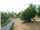 24 Scott Street, Branxholm TAS 7261