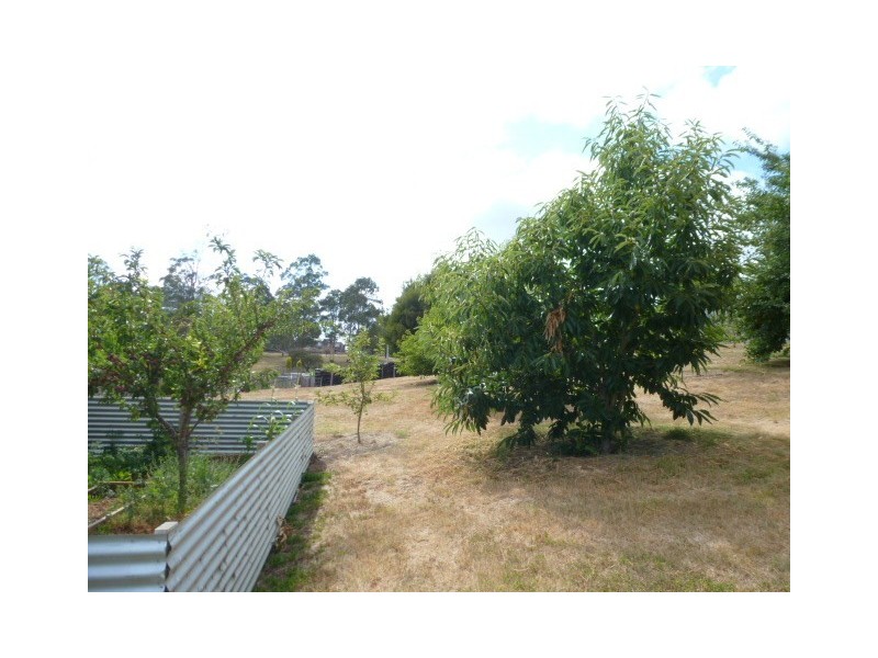24 Scott Street, Branxholm TAS 7261
