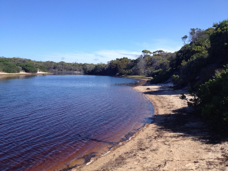 5 Cygnet Street, Musselroe Bay TAS 7264