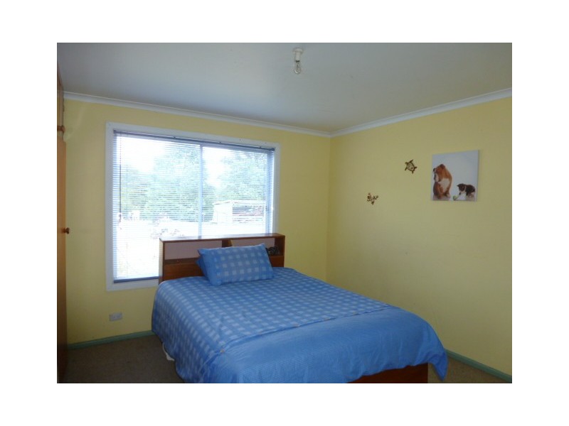 550 South Springfield Road, Springfield, Scottsdale TAS 7260