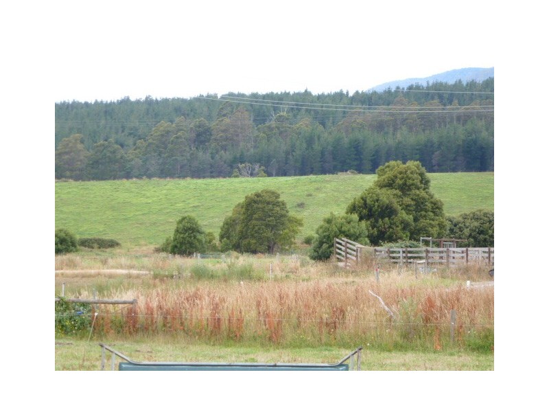 South Springfield Road, Scottsdale TAS 7260