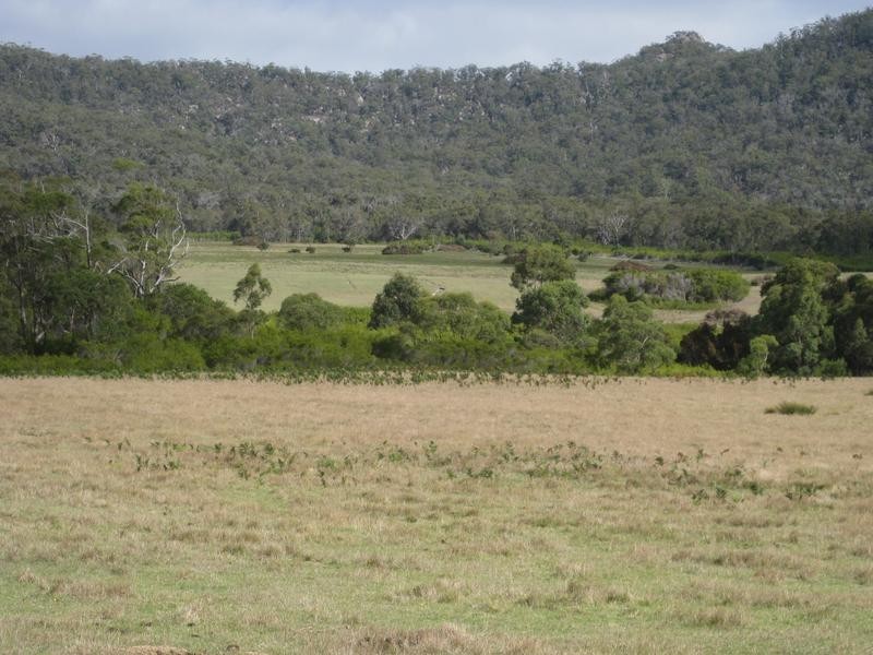 5824 Waterhouse Road, Gladstone TAS 7264