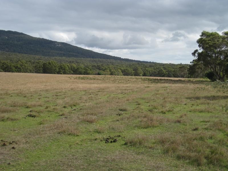 5824 Waterhouse Road, Gladstone TAS 7264