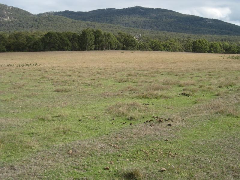 5824 Waterhouse Road, Gladstone TAS 7264