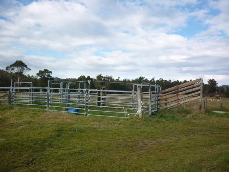 Jensens Road, Scottsdale TAS 7260