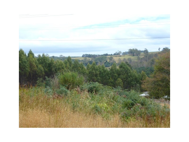 23 Renison Street, Derby TAS 7264