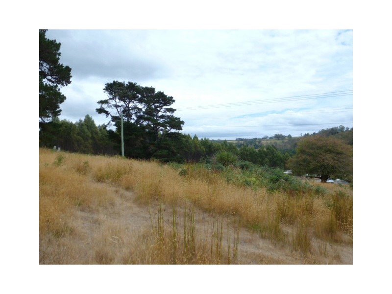 Renison Street, Derby TAS 7264