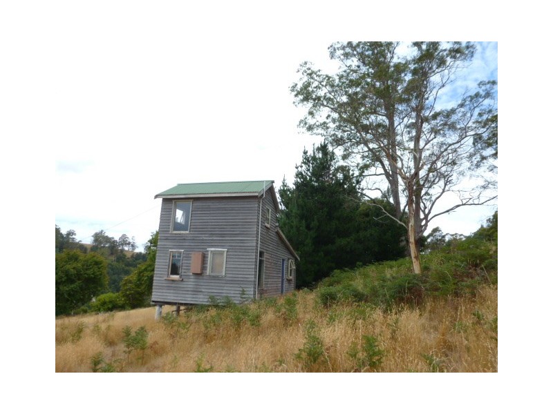 Renison Street, Derby TAS 7264